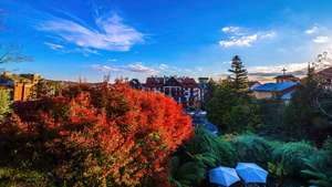 Cambará do Sul e Gramado